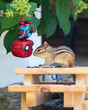 Book: My Life is Nuts! A Chipmunks Tale