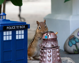 Book: My Life is Nuts! A Chipmunks Tale