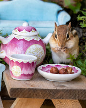 Nutmeg the Chipmunk Fun Facts for (6+) kids