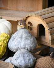 Nutmeg the Chipmunk Fun Facts for (6+) kids