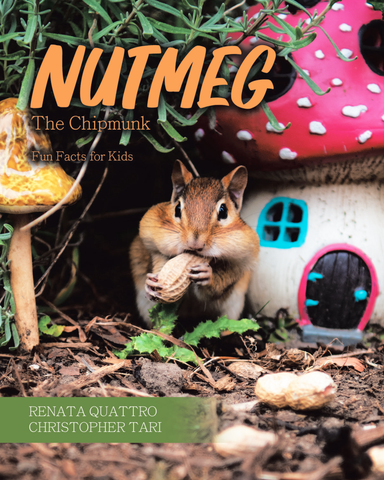 Nutmeg the Chipmunk Fun Facts for (6+) kids