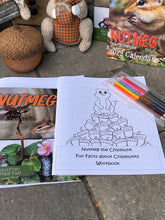 Colouring book, with activity book and pencil crayons bundle