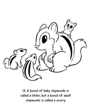 Nutmeg the Chipmunk Colouring Book with fun facts