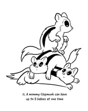 Nutmeg the Chipmunk Colouring Book with fun facts