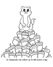 Nutmeg the Chipmunk Colouring Book with fun facts